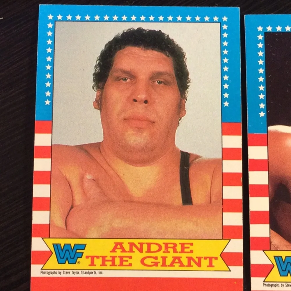 1987 WWF Wrestling Topps (10) cards Andre the Giant Hulk Hogan The Challenge - Picture 1 of 12